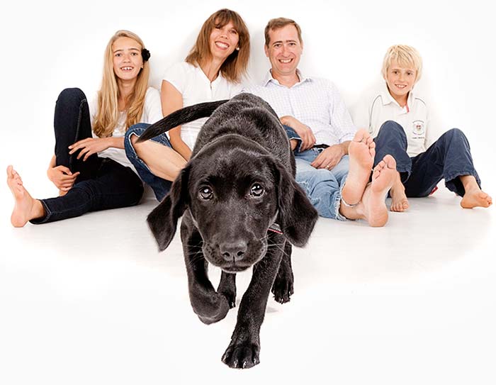 Dogs family portrait