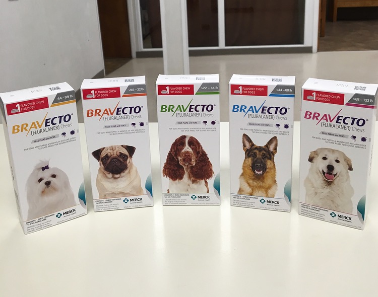 Bravecto For Dogs And Cats Is Safe