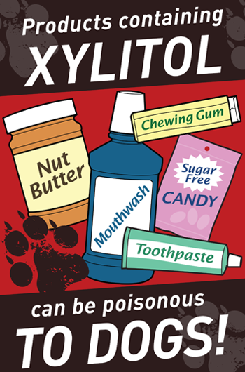Xylitol is Toxic To Dogs