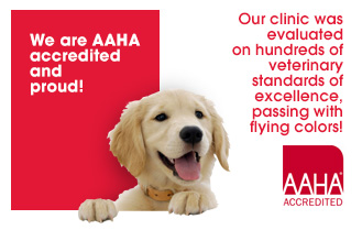 AAHA Accreditation Proves a Veterinary Clinic's Voluntary Pursuit of Excellence