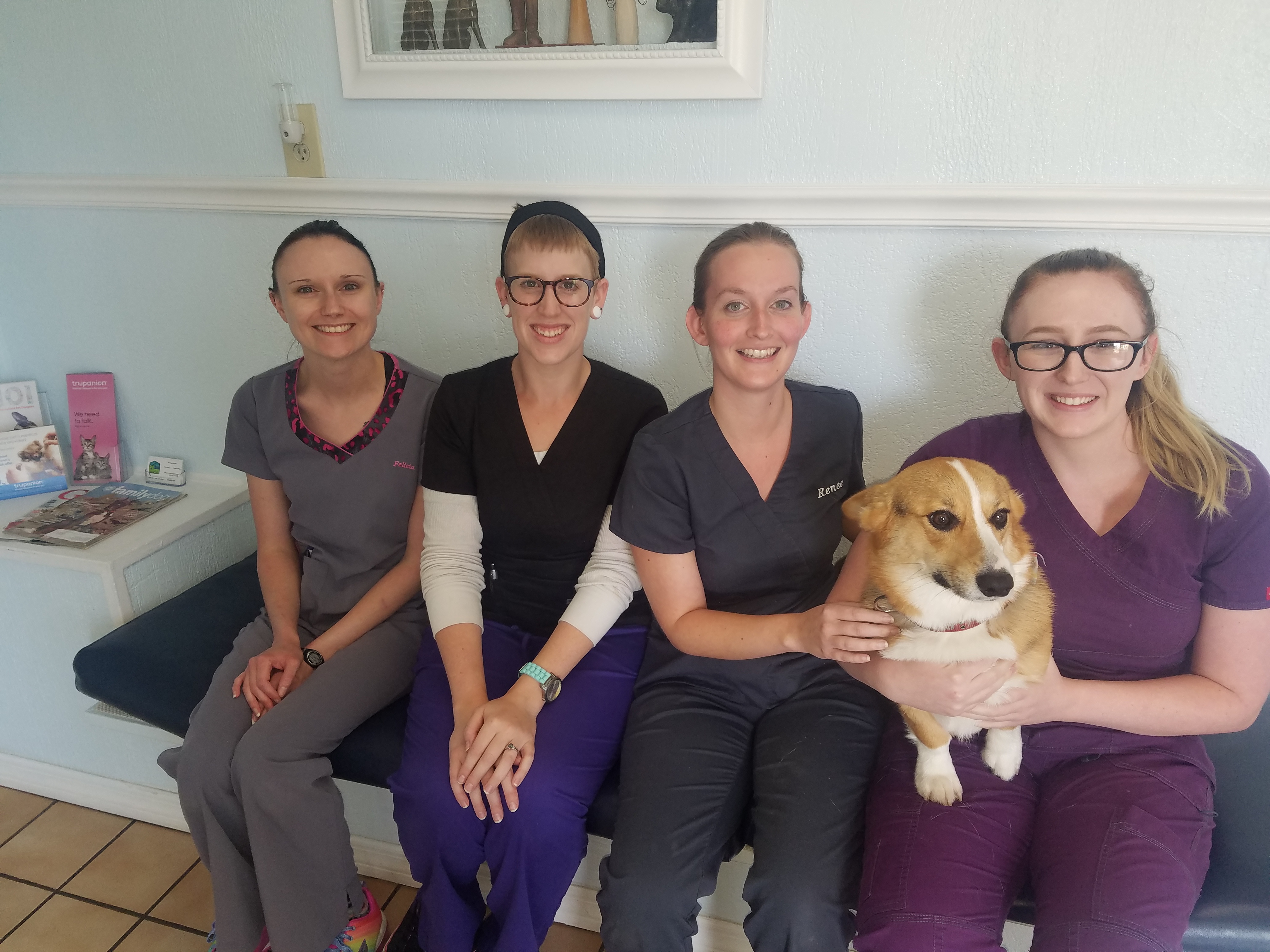 Valued Millennial Members of My Veterinary Clinic Medical Team