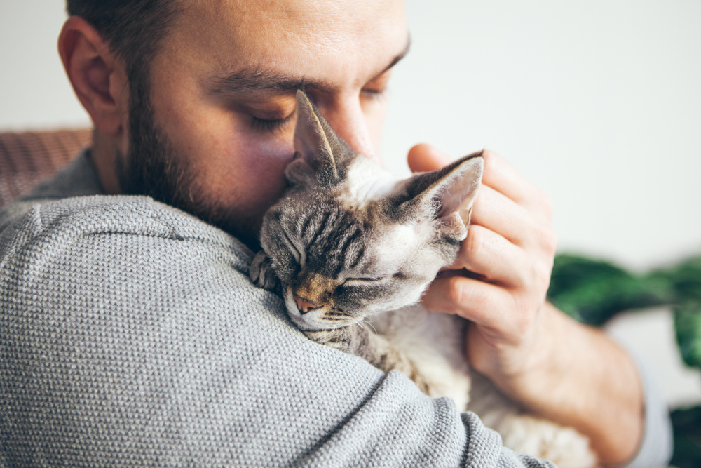 There may now be viable treatment for cats with FIP.